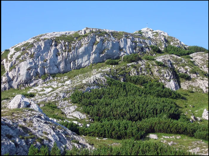 Vârful Piatra Iorgovanului văzut din Şaua Stănuleţii Mici (Csaba Iakob, 2010)